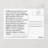 Moccasin's HOPE - Red wilde paarden & Burros Briefkaart (Achterkant)
