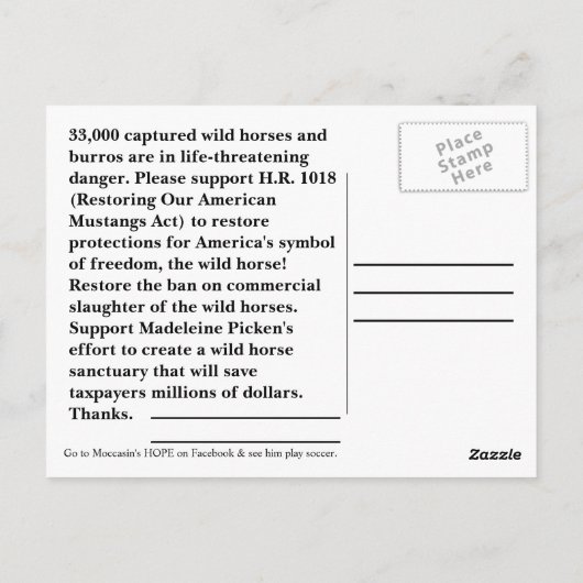Moccasin's HOPE - Red wilde paarden & Burros Briefkaart (Achterkant)