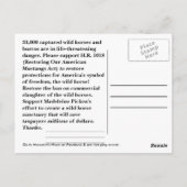 Moccasin's HOPE - Red wilde paarden & Burros Briefkaart (Achterkant)