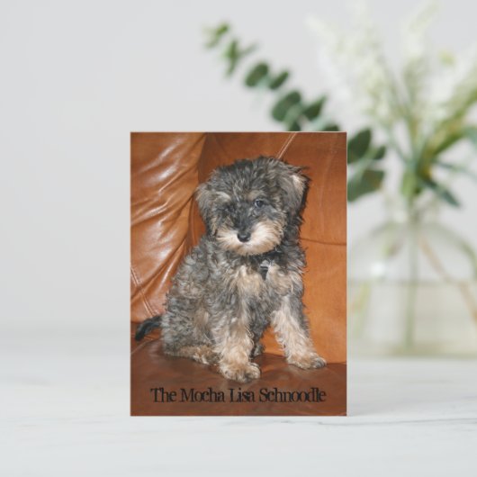 Mocha Lisa Schnole Briefkaart (Staand voorkant)