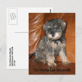 Mocha Lisa Schnole Briefkaart (Voorkant / Achterkant)