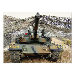 Mock-agressors uit de Republiek Korea Foto Afdruk