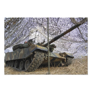 Mock agressors uit Korea 2 Foto Afdruk