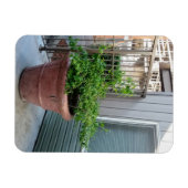 Mock Oranje Magneet (Horizontaal)