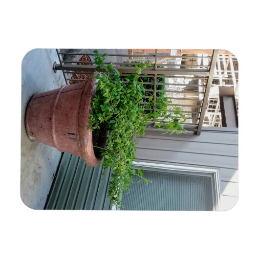 Mock Oranje Magneet (Horizontaal)