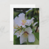 Mock Oranje ventilator Notitiekaartje (Voorkant / Achterkant)