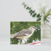 Mocking Bird Briefkaart (Staand voorkant)