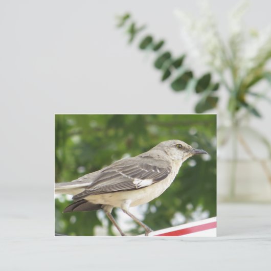 Mocking Bird Briefkaart (Staand voorkant)