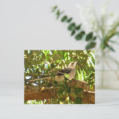 Mocking Bird Briefkaart (Staand voorkant)