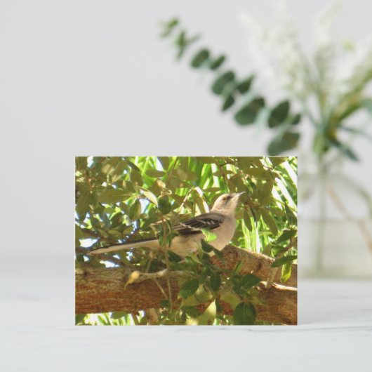 Mocking Bird Briefkaart (Staand voorkant)