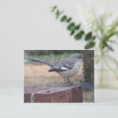 Mocking Bird Briefkaart (Staand voorkant)