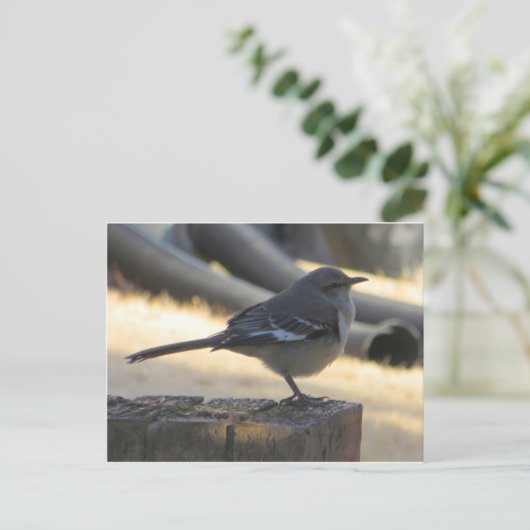 Mocking Bird Briefkaart (Staand voorkant)