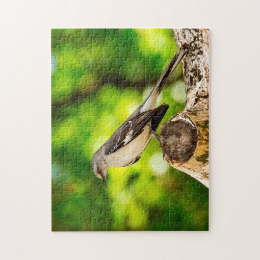 Mocking Bird Florida. Legpuzzel (Verticaal)