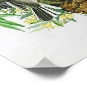 Mocking Bird John James Audubon Birds of America Poster (Hoek)