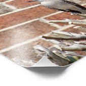 Mocking Bird op Struik voor Brick Building Foto Afdruk (Hoek)