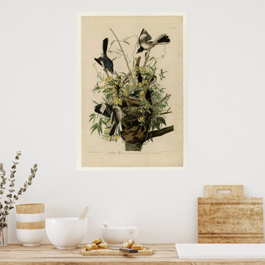 Mocking Bird Poster (Keuken)