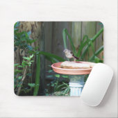 Mockingbird bij Birdbath Muismat (Met muis)