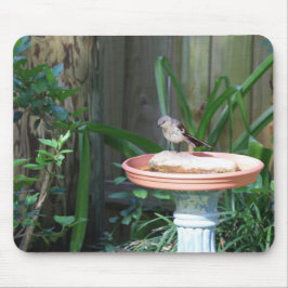 Mockingbird bij Birdbath Muismat