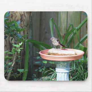 Mockingbird bij Birdbath Muismat