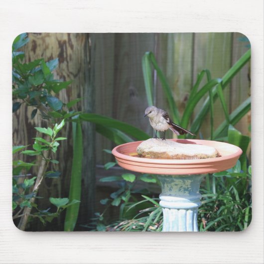 Mockingbird bij Birdbath Muismat (Voorkant)