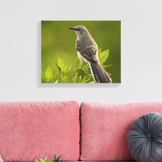 Mockingbird Bird Lovers Gifts Canvas Afdruk (Insitu (Woonkamer))