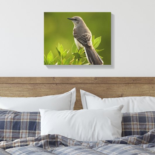 Mockingbird Bird Lovers Gifts Canvas Afdruk (Insitu (Slaapkamer))
