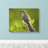 Mockingbird Bird Lovers Gifts Canvas Afdruk (Insitu (Houten vloer))