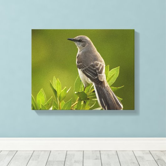 Mockingbird Bird Lovers Gifts Canvas Afdruk (Insitu (Houten vloer))