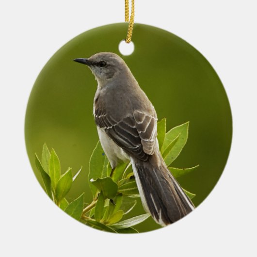 Mockingbird Bird Lovers Gifts Keramisch Ornament (Voorkant)