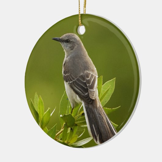 Mockingbird Bird Lovers Gifts Keramisch Ornament (Links)