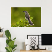 Mockingbird Bird Lovers Gifts Poster (Thuiskantoor)