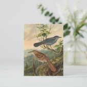 Mockingbird en Brown Thrasher Briefkaart (Staand voorkant)