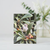 Mockingbird Foto Briefkaart (Staand voorkant)