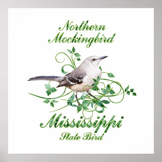 Mockingbird Mississippi State Bird Poster (Voorkant)
