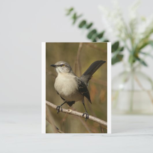 Mockingbird Ornithology Briefkaart (Staand voorkant)