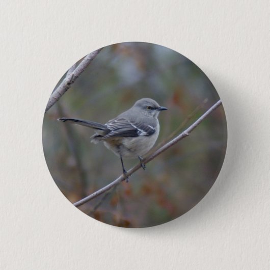 Mockingbird Ornithology Ronde Button 5,7 Cm (Voorkant)