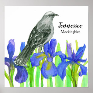 Mockingbird State Bird of Tennessee Poster
