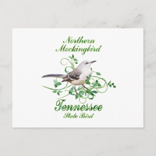 Mockingbird Tennessee State Bird Briefkaart