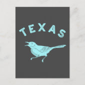 Mockingbird Texas State Bird Aqua Blue en Grey Briefkaart (Voorkant)