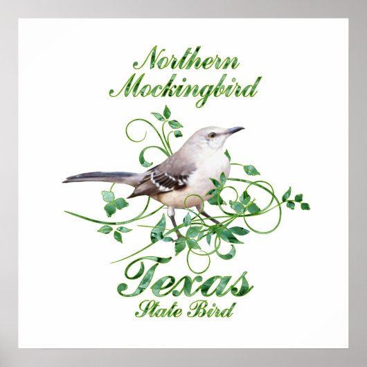 Mockingbird Texas State Bird Poster (Voorkant)