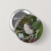 Mockingknop - Noordelijke Mockingbird op Magnolia Ronde Button 5,7 Cm (Voorkant /achterkant)