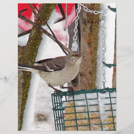 Mockingvogel Briefhoofd (Voorkant)