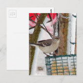 Mockingvogel Briefkaart (Voorkant / Achterkant)