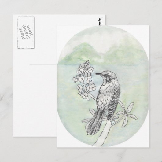 Mockingvogel Briefkaart (Voorkant / Achterkant)
