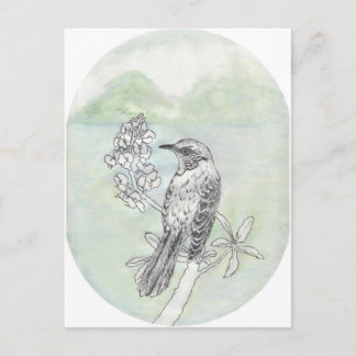 Mockingvogel Briefkaart