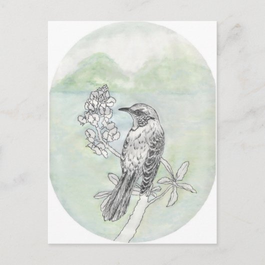 Mockingvogel Briefkaart (Voorkant)