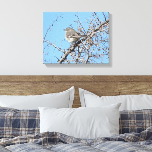 Mockingvogel Canvas Afdruk (Insitu (Slaapkamer))