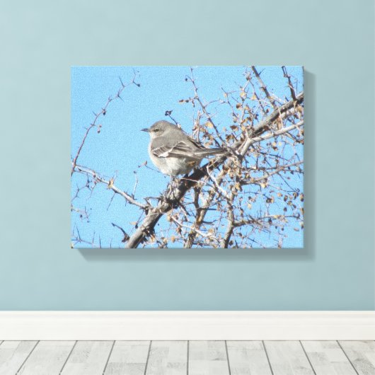Mockingvogel Canvas Afdruk (Insitu (Houten vloer))