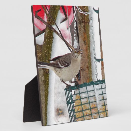 Mockingvogel Fotoplaat (Zijkant)