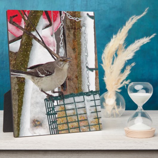 Mockingvogel Fotoplaat (Zijkant)